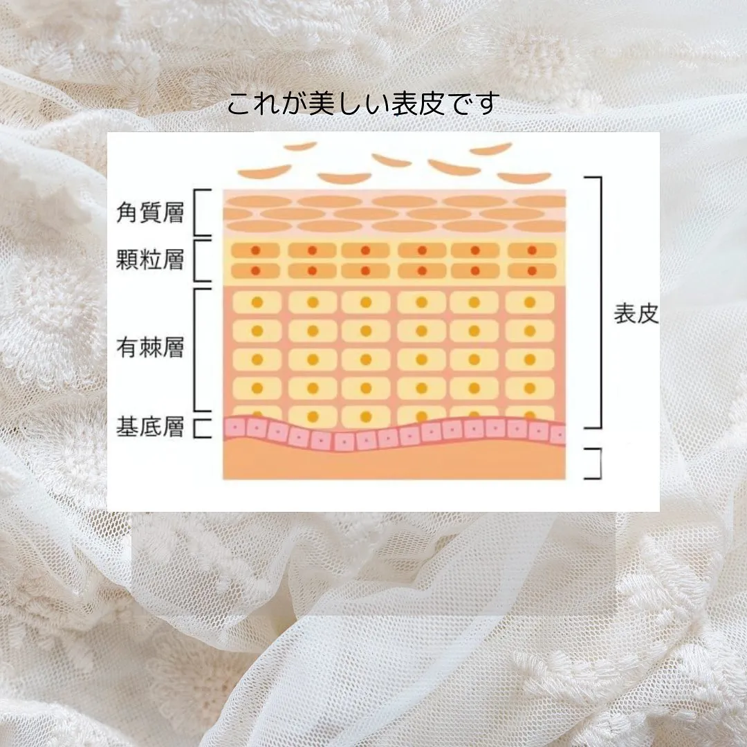 お肌に1番上にある層を表皮と言います